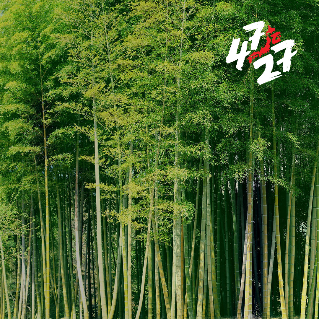 Chugoku Region